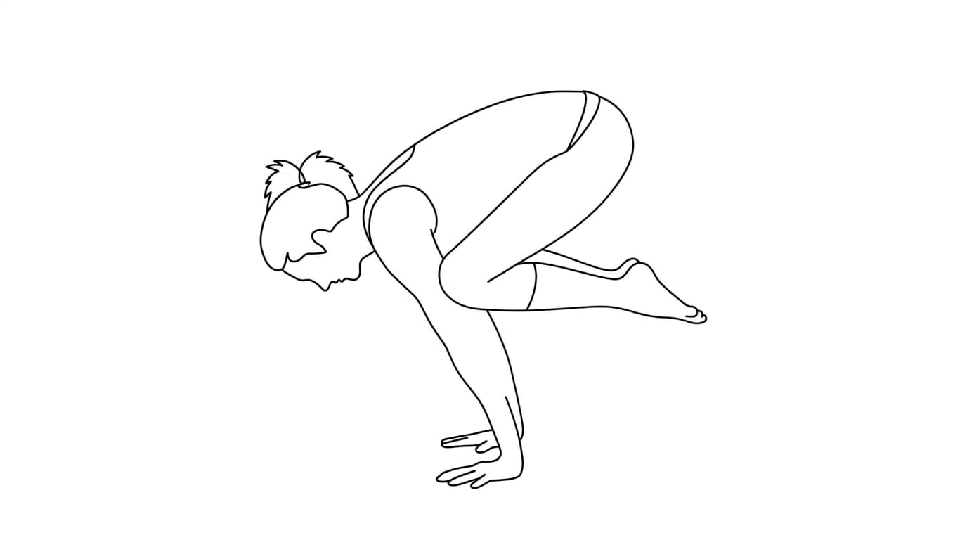 Line-art illustration of Crane Pose (Bakasana)