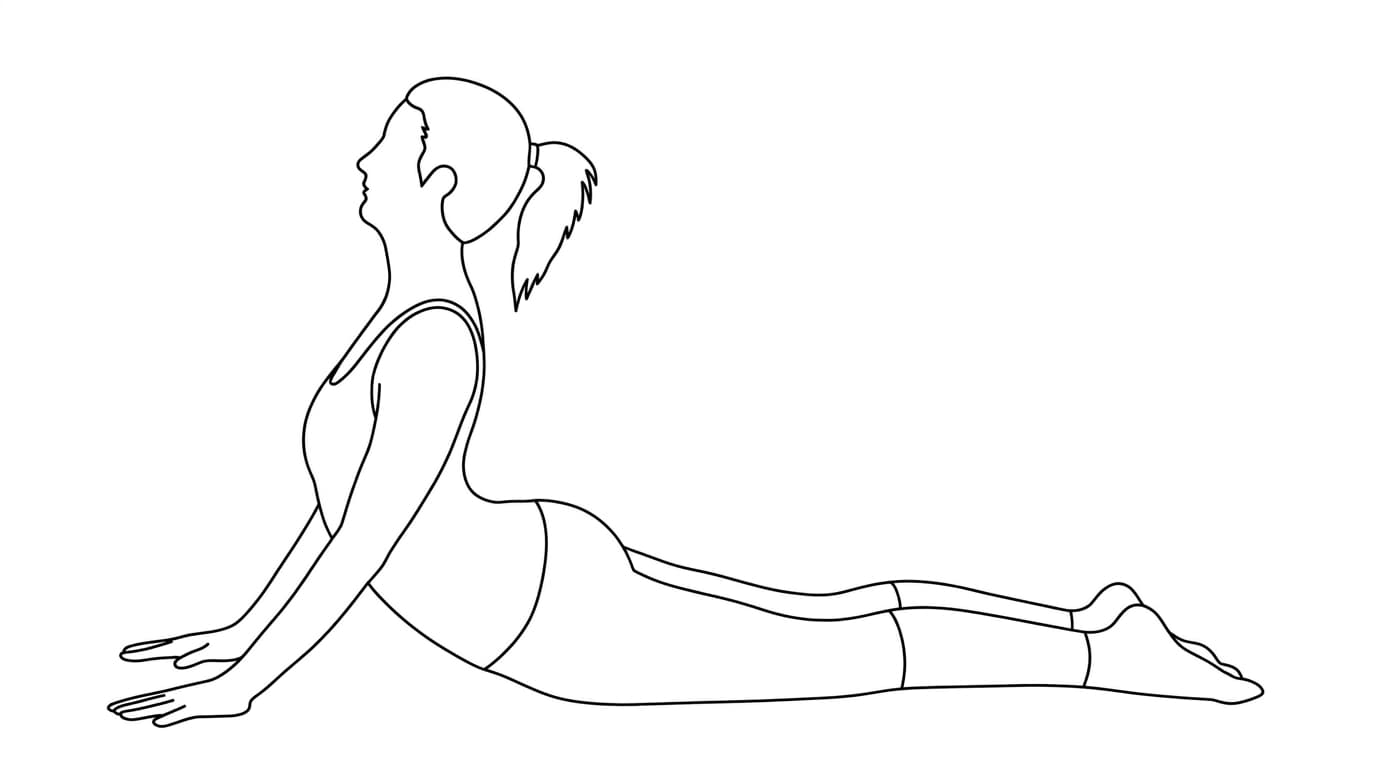 Line-art illustration of Cobra Pose (Bhujangasana)