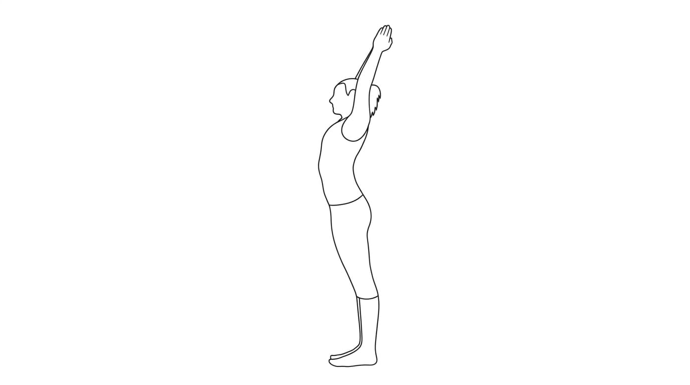 Line-art illustration of Crescent Moon