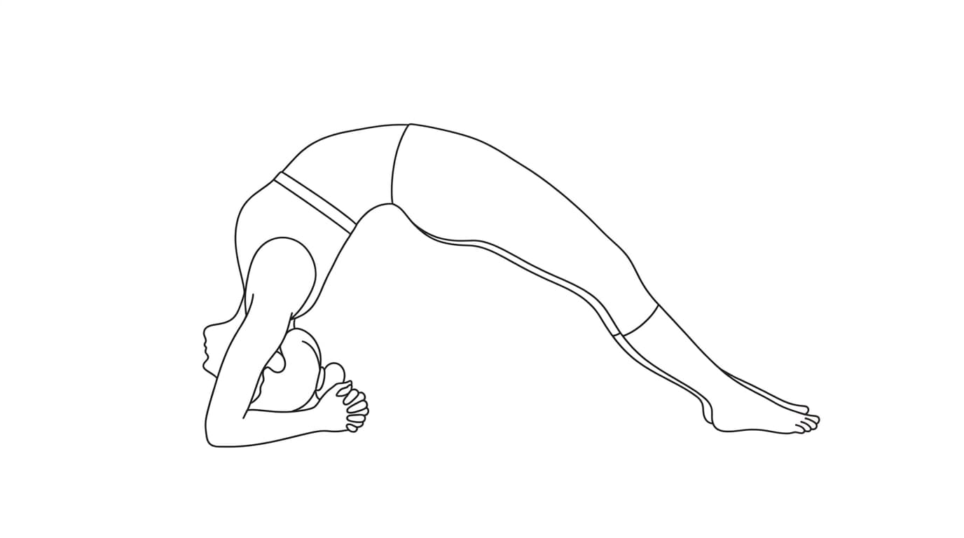 Line-art illustration of Inverted Staff (Dvi Pada Viparita Dandasana)