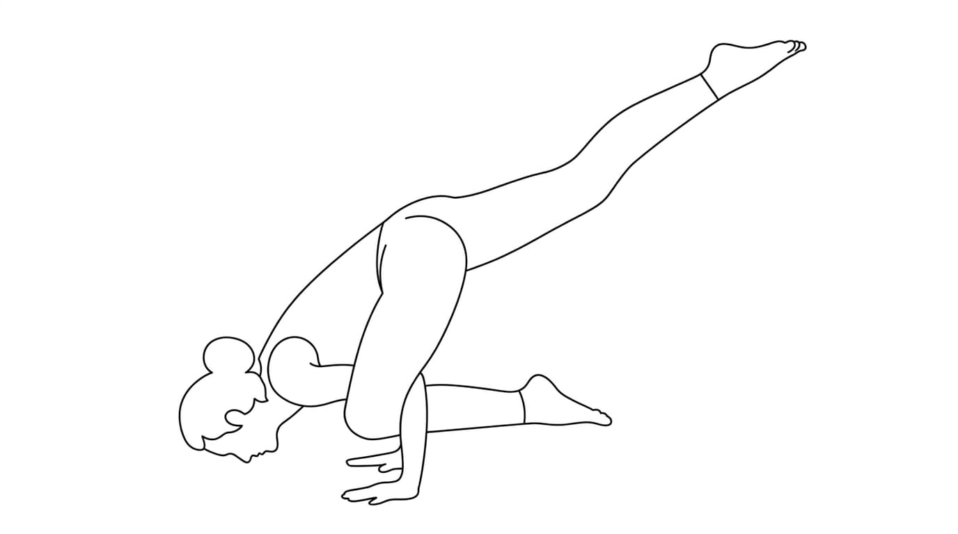 Line-art illustration of Flying Lizard