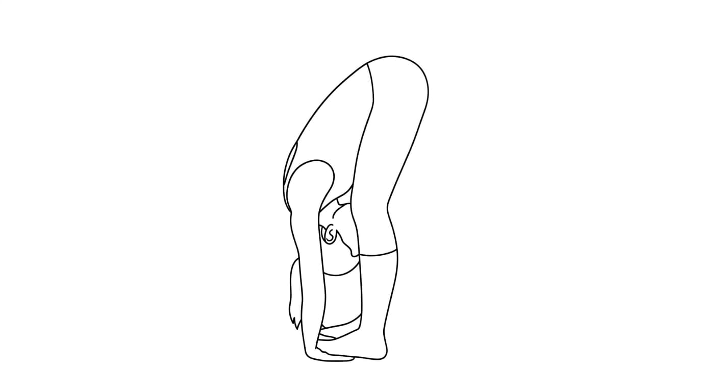 Line-art illustration of Gorilla Pose (Pada Hastasana)