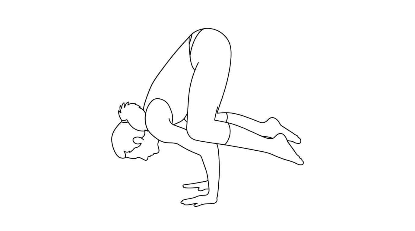 Line-art illustration of Crow Pose (Kakasana)