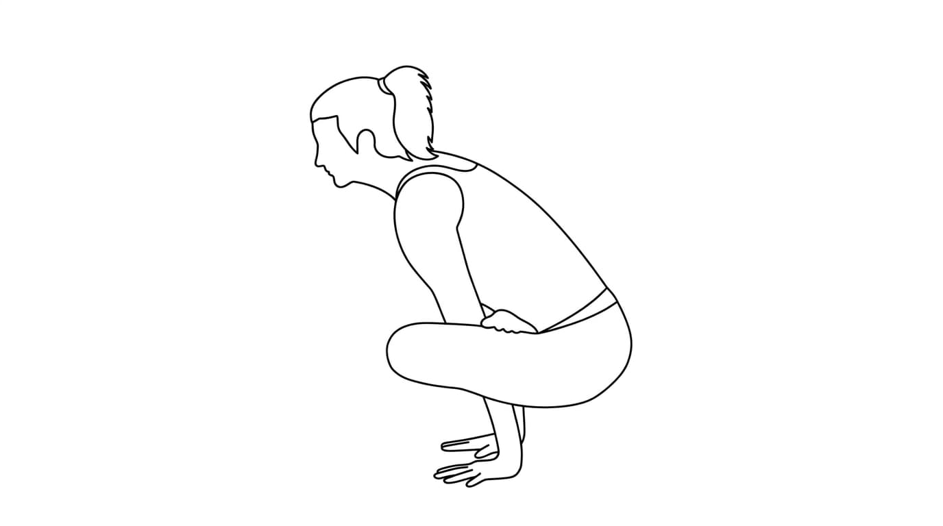 Line-art illustration of Rooster Pose (Kukkutasana)