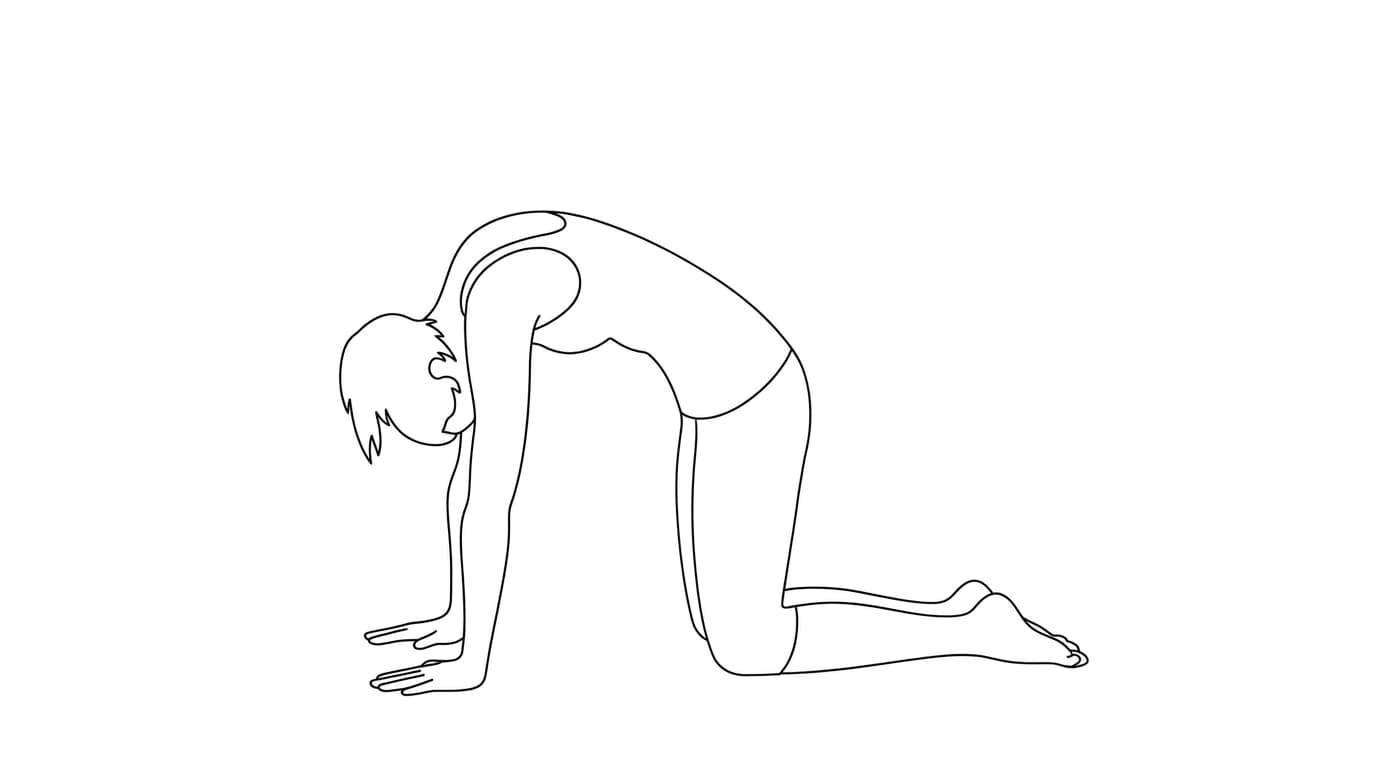 Line-art illustration of Cat Pose (Marjariasana)