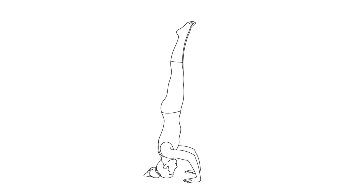 Line-art illustration of Tripod Headstand (Mukta Hasta Sirsasana A)