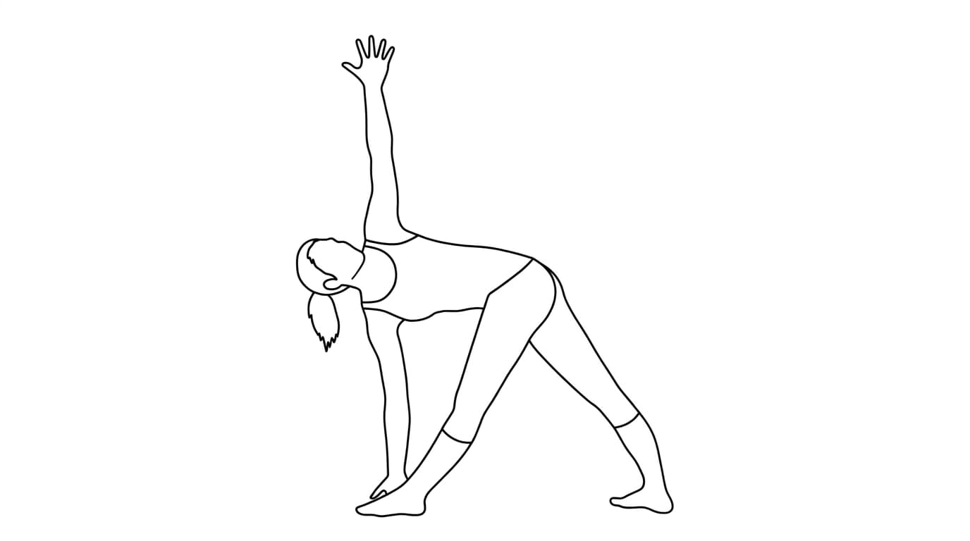 Line-art illustration of Revolved Triangle (Parivritta Trikonasana)