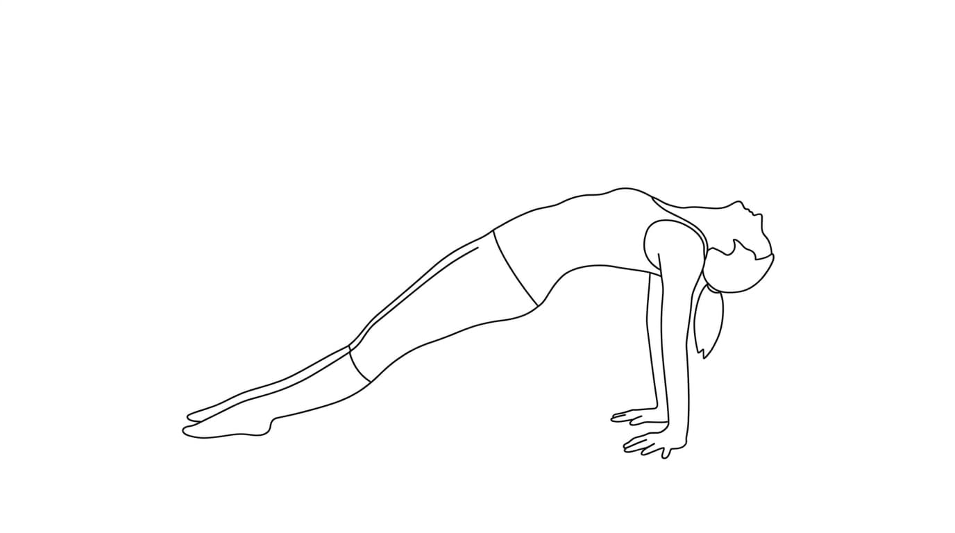 Line-art illustration of Upward Plank (Purvottanasana)