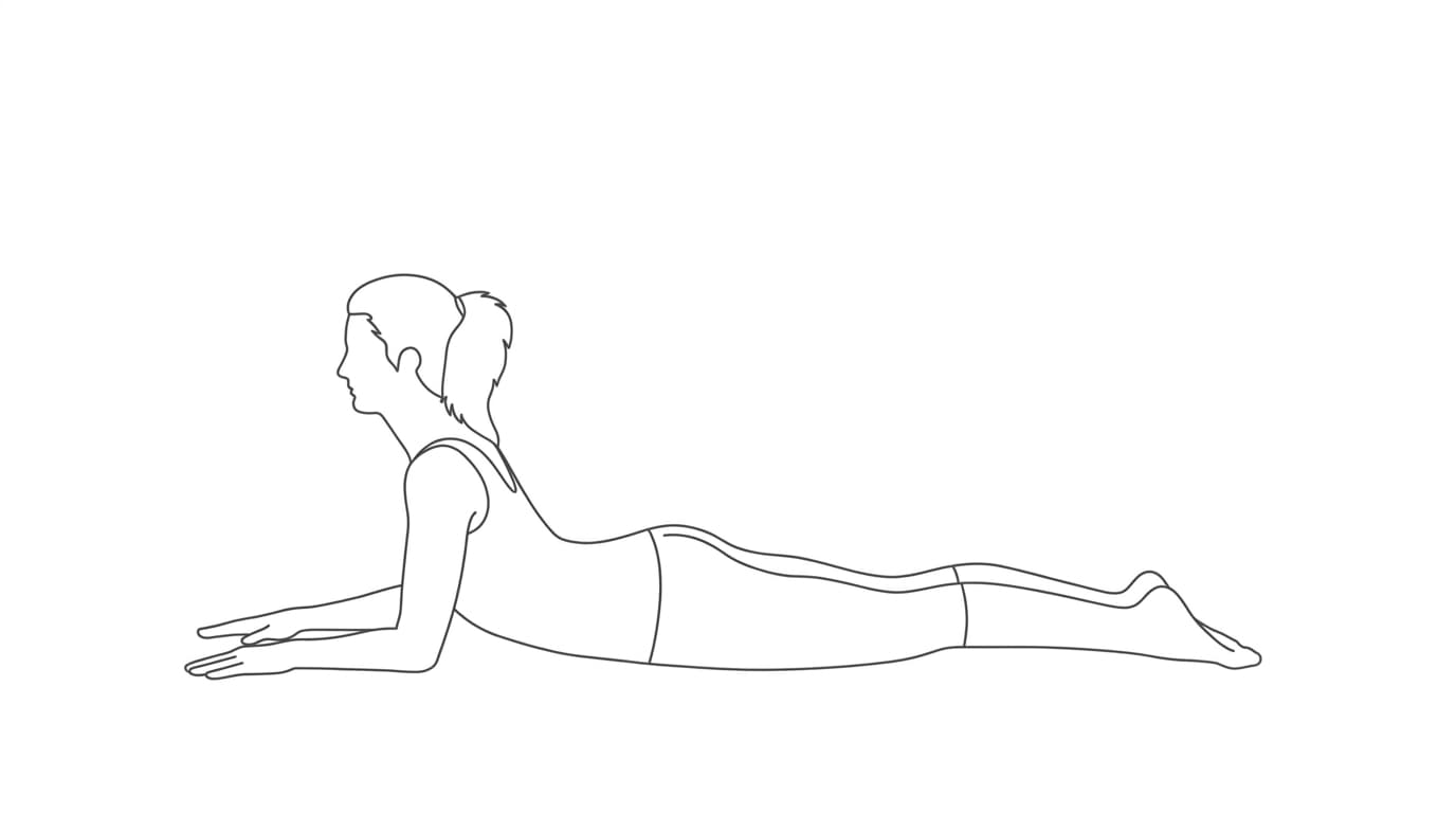 Line-art illustration of Sphinx Pose (Salamba Bhujangasana)