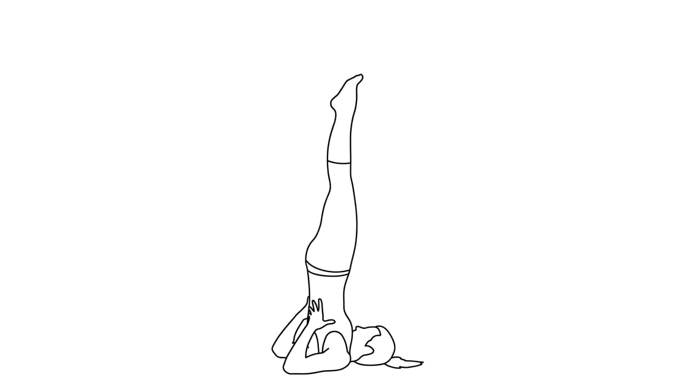 Line-art illustration of Supported Shoulderstand (Salamba Sarvangasana)