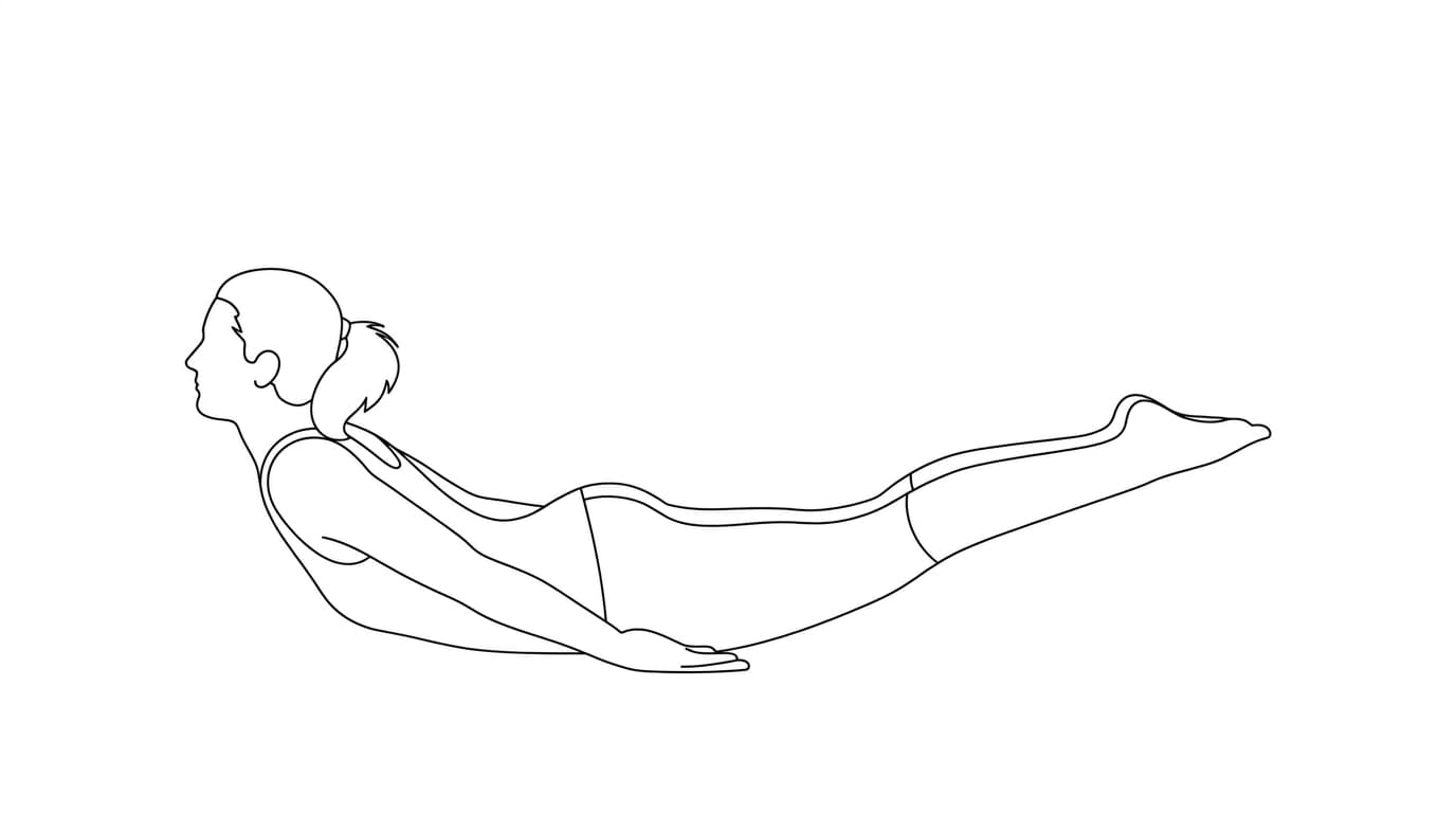 Line-art illustration of Locust I (Shalabhasana A)