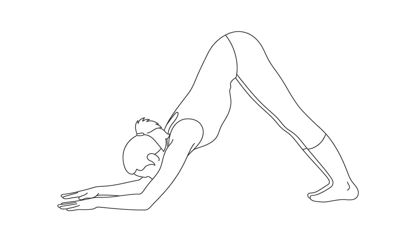 Line-art illustration of Dolphin Pose (Shishumarasana)