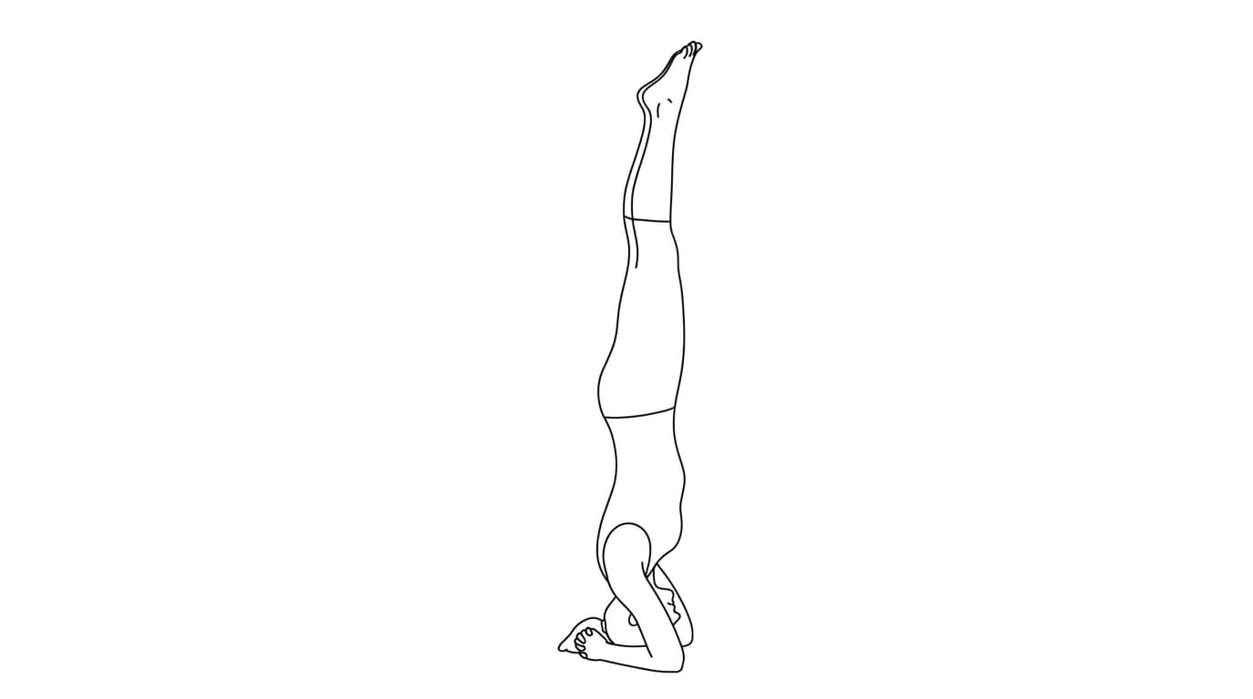 Line-art illustration of Supported Headstand (Salamba Shirshasana A)