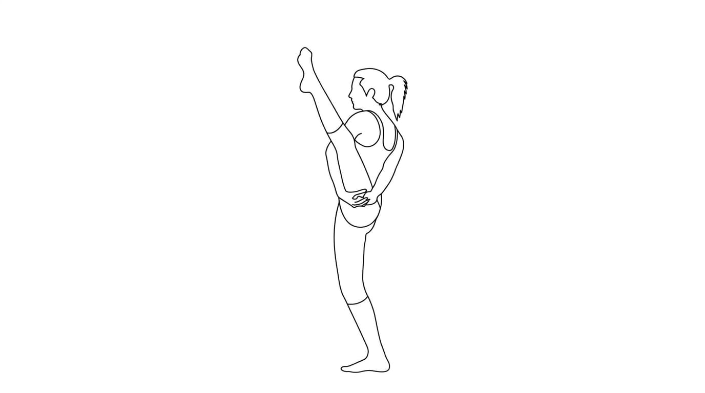 Line-art illustration of Bird of Paradise (Svarga Dvijasana)