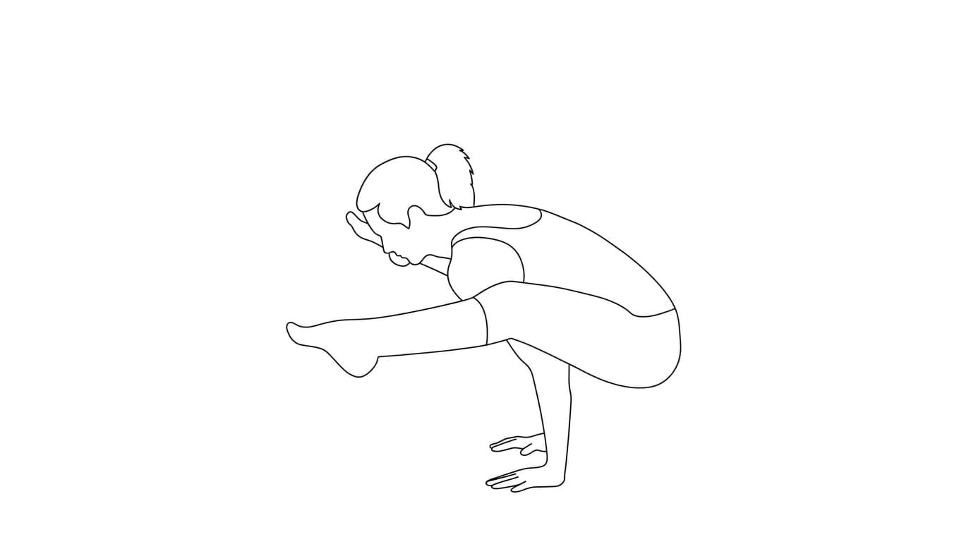 Line-art illustration of Firefly I (Tittibhasana A)