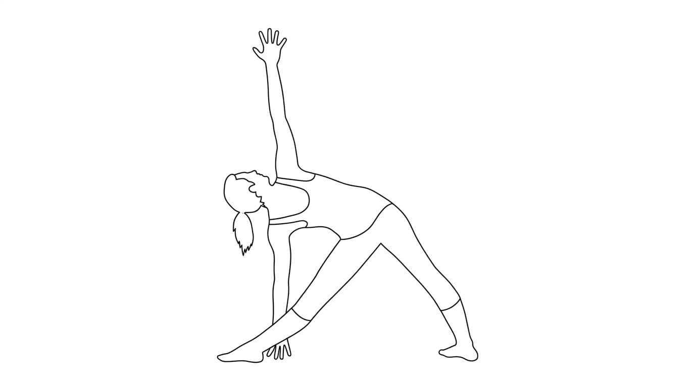 Line-art illustration of Triangle Pose (Trikonasana)