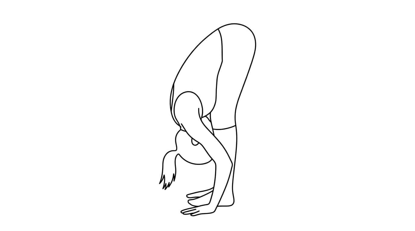 Line-art illustration of Standing Forward Bend (Uttanasana)