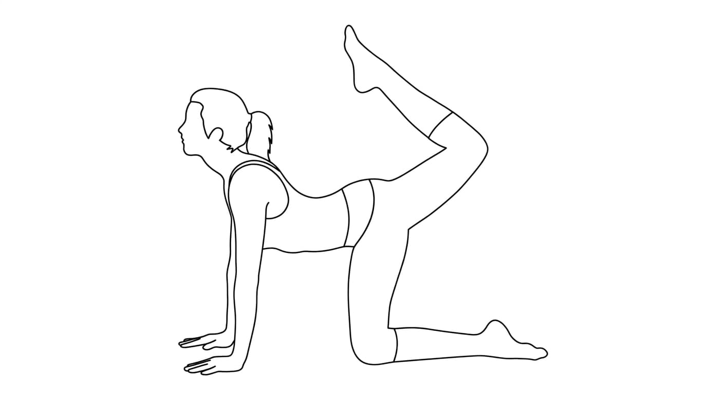 Line-art illustration of Tiger Pose (Vyaghrasana)